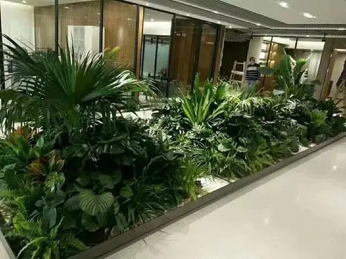 景观设计与施工