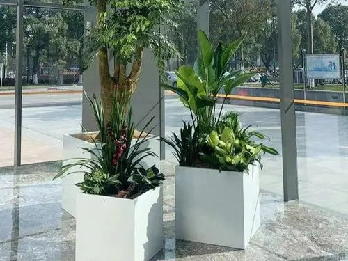 植物鲜花销售